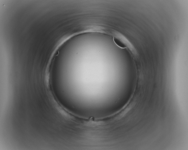 X0000113861284200909241300