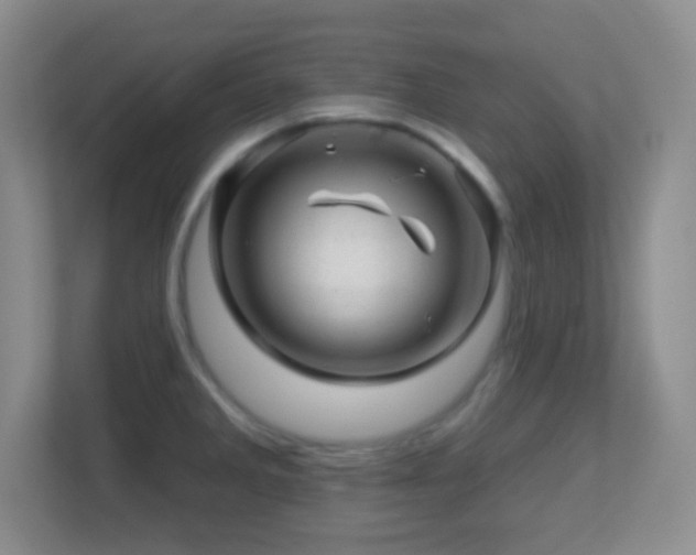 X0000113861285200909241300