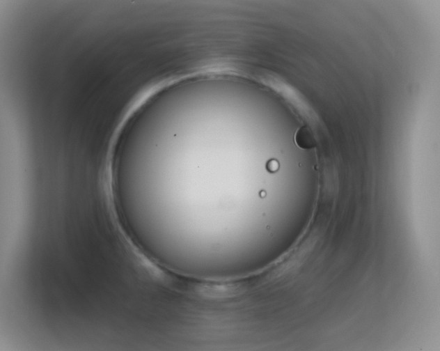 X0000113861286200909241300