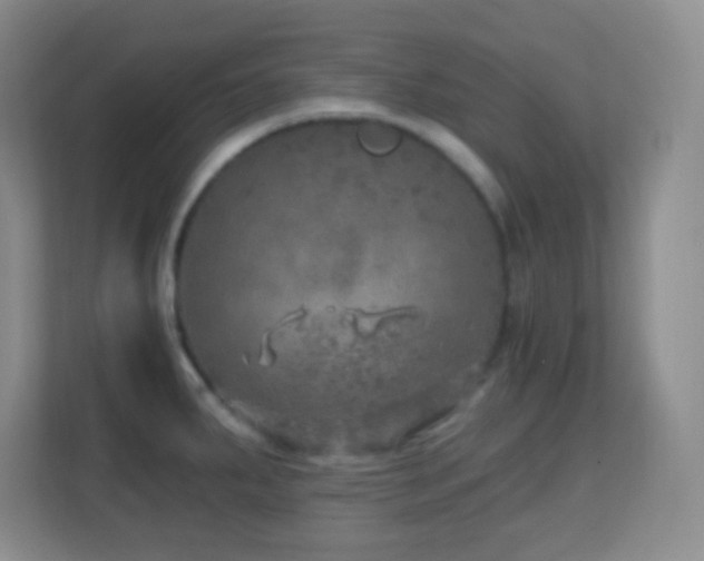 X0000113861287200909241300