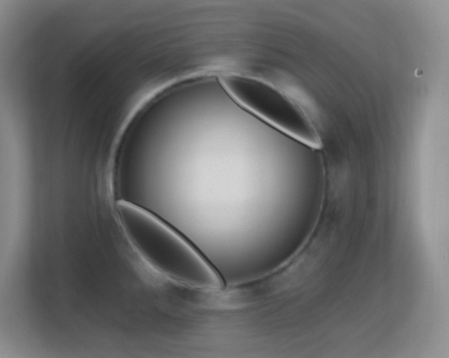 X0000113861288200909241300