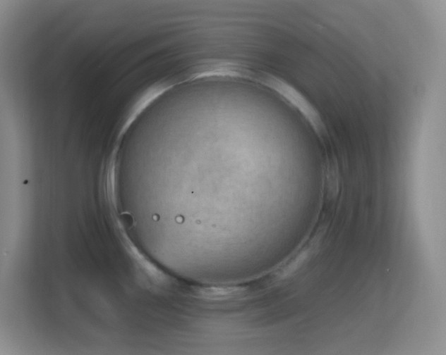 X0000113861290200909241300