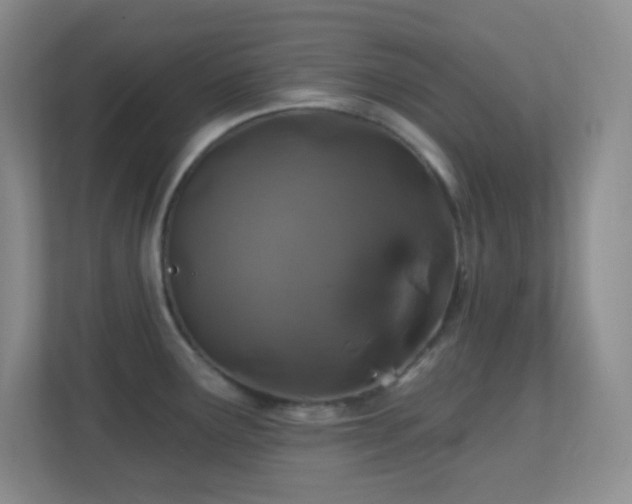 X0000113861291200909241300