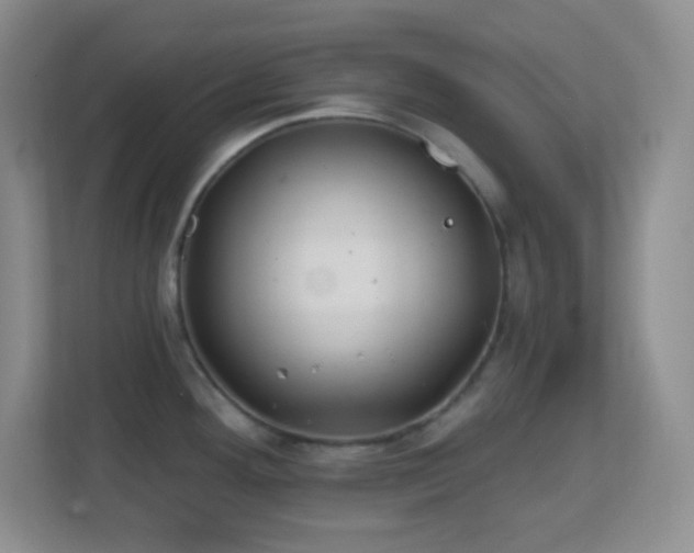 X0000113861292200909241300