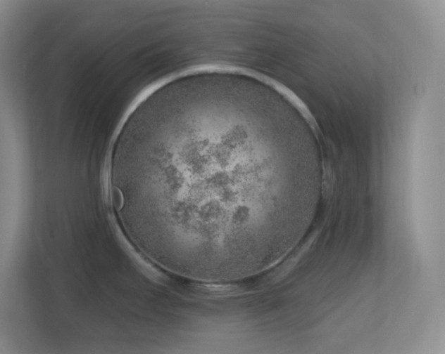 X0000113861295200909241300
