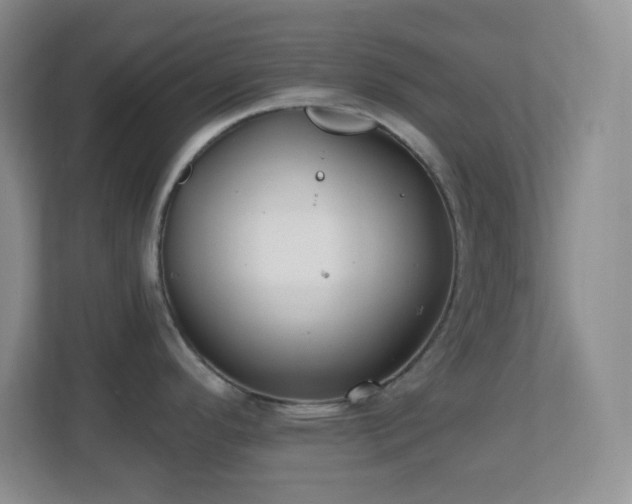 X0000113861296200909241300