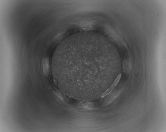 X0000113861298200909241259