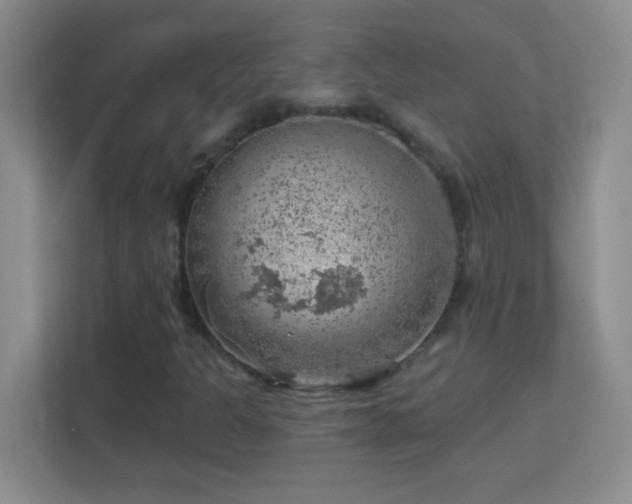 X0000113861301200909241259