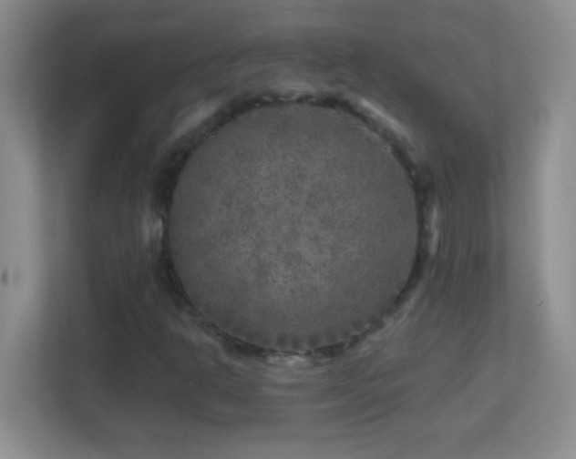 X0000113861302200909241259