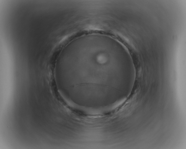 X0000113861303200909241259
