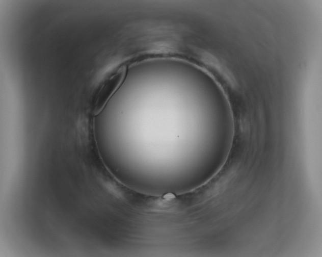 X0000113861304200909241259