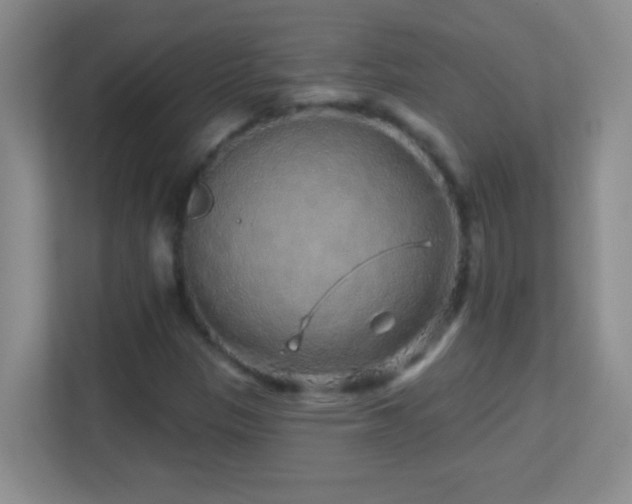 X0000113861305200909241259