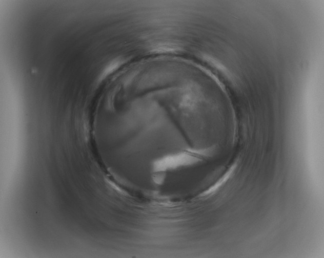 X0000113861306200909241259