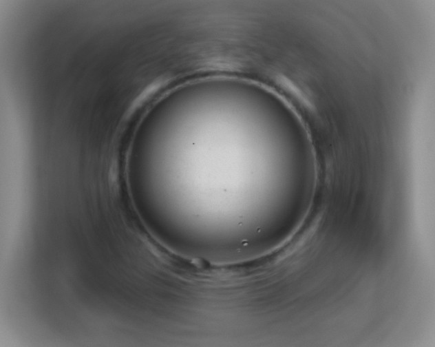 X0000113861307200909241259