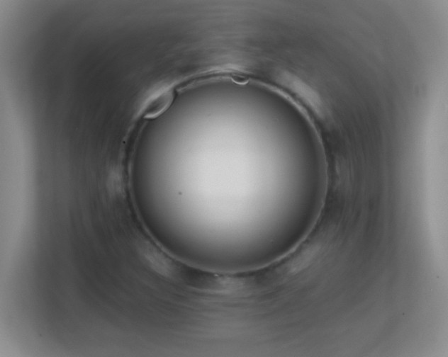 X0000113861308200909241259