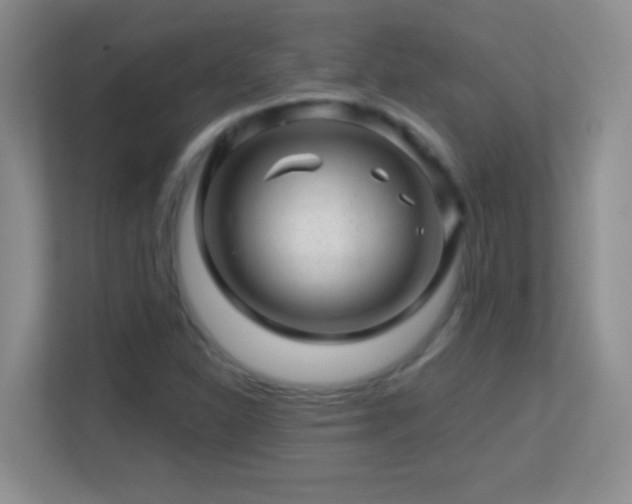 X0000113861310200909241300