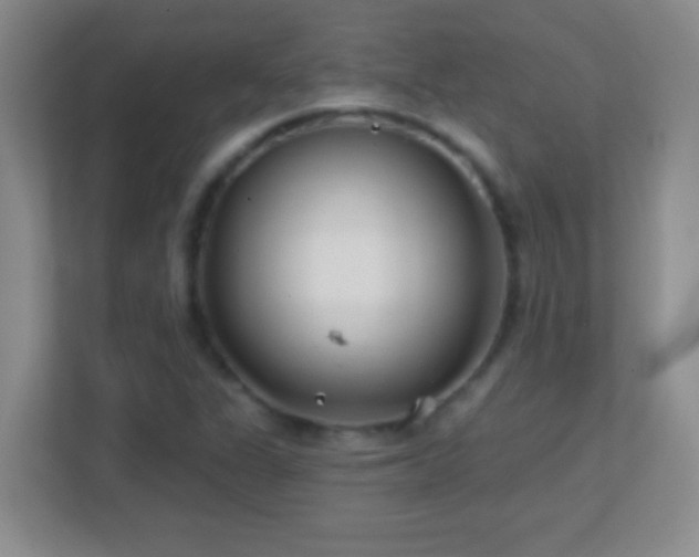 X0000113861311200909241300