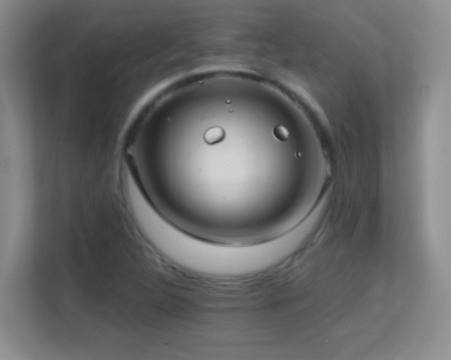 X0000113861312200909241300