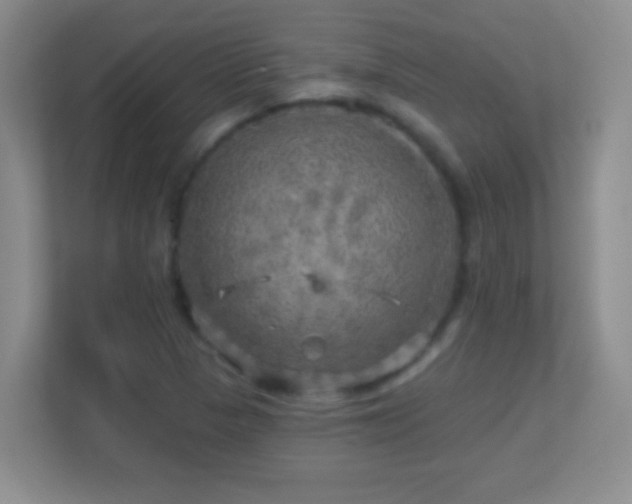 X0000113861313200909241300