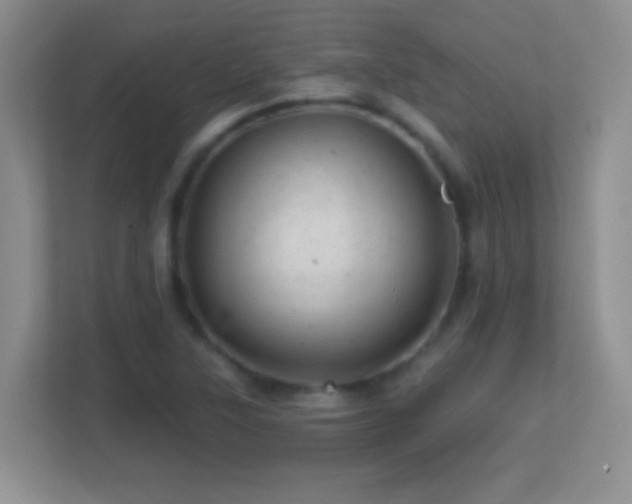 X0000113861315200909241300