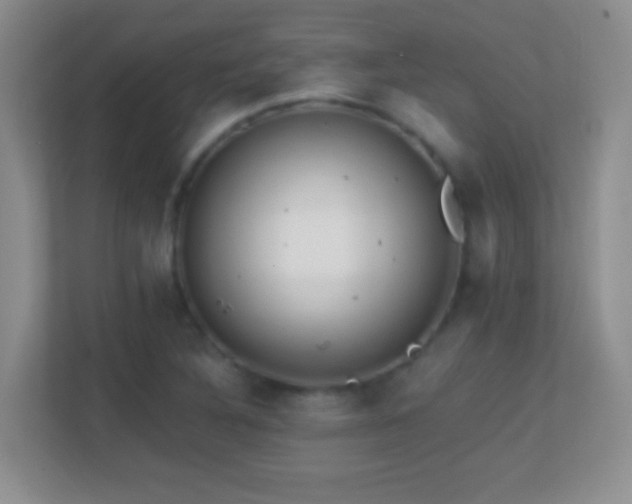 X0000113861316200909241300