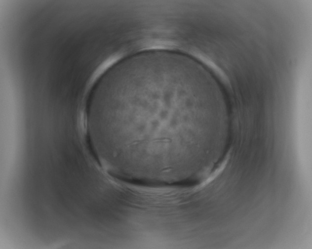 X0000113861317200909241300