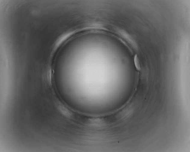 X0000113861320200909241300