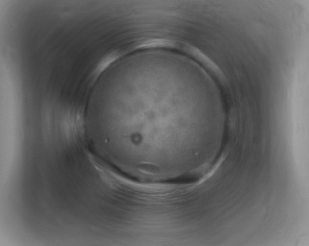 X0000113861321200909241300