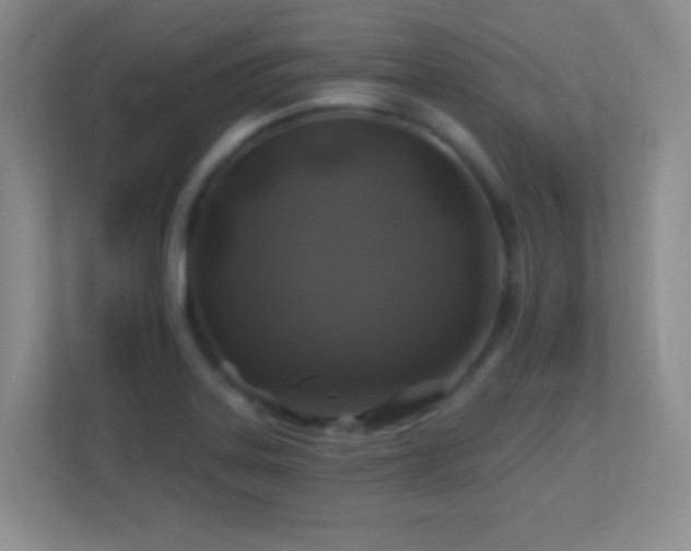 X0000113861323200909241300