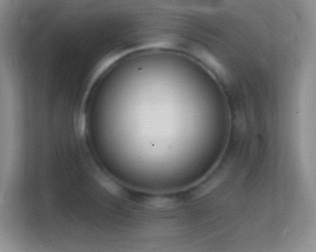 X0000113861324200909241300