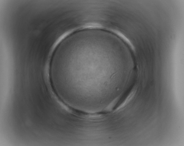 X0000113861325200909241300