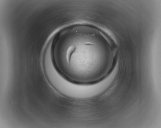 X0000113861326200909241300