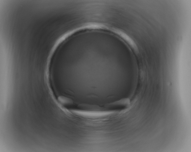 X0000113861327200909241300