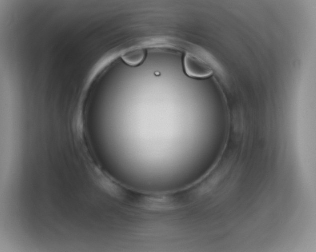 X0000113861328200909241300