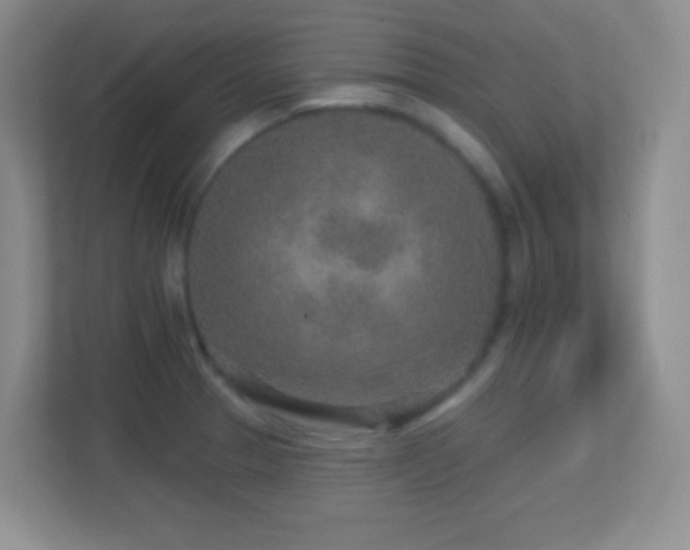 X0000113861329200909241300