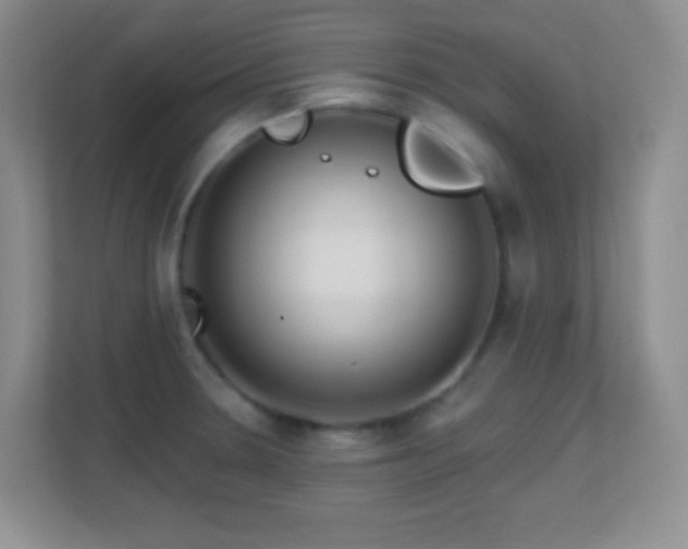 X0000113861330200909241300
