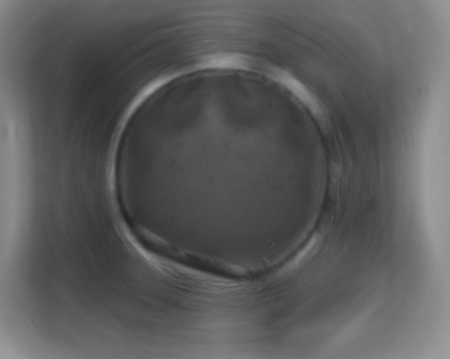 X0000113861331200909241300