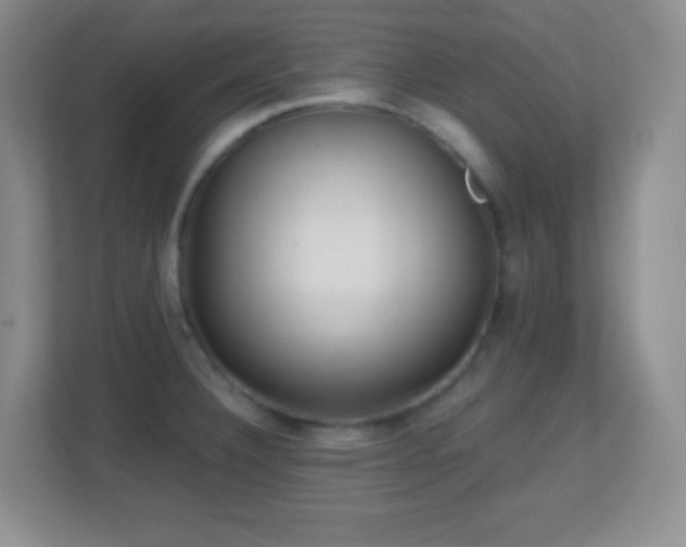 X0000113861332200909241300