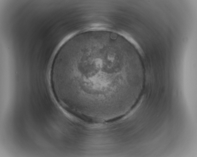 X0000113861333200909241300