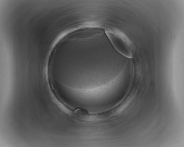 X0000113861334200909241300