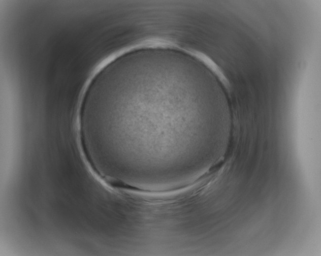 X0000113861335200909241300