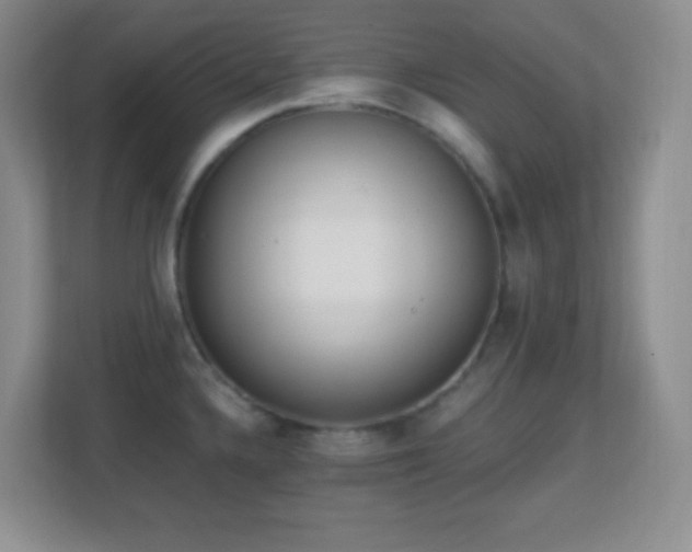 X0000113861336200909241300