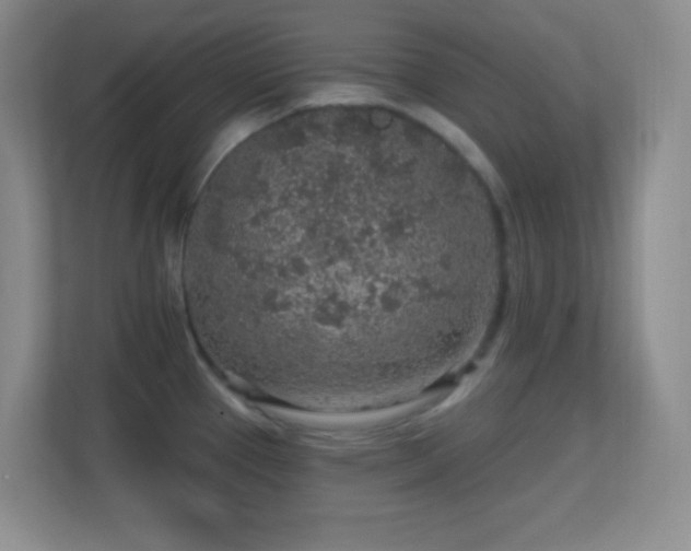 X0000113861337200909241300