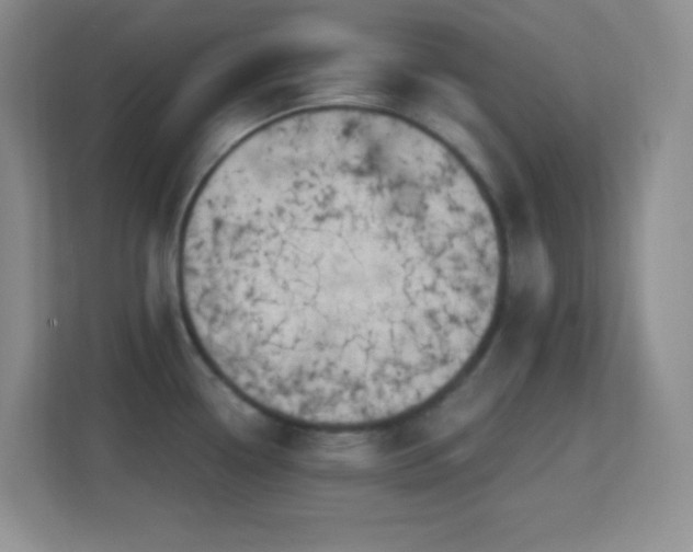 X0000113861338200909241300