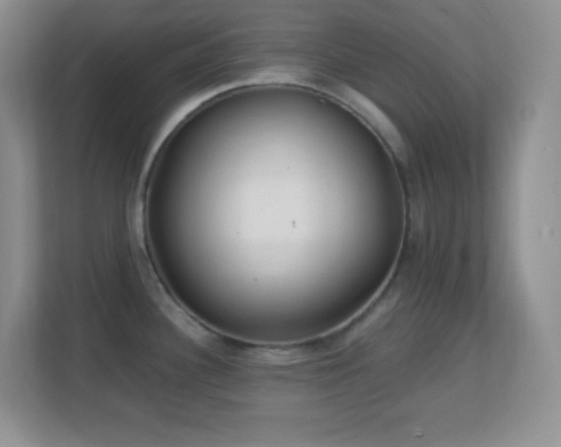 X0000113861340200909241300