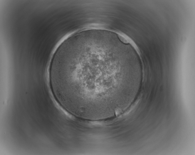 X0000113861341200909241300