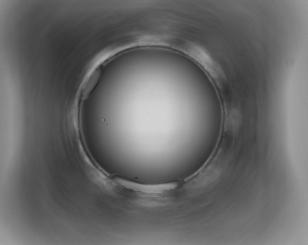 X0000113861342200909241300