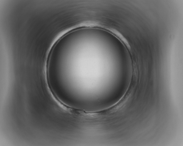 X0000113861343200909241300