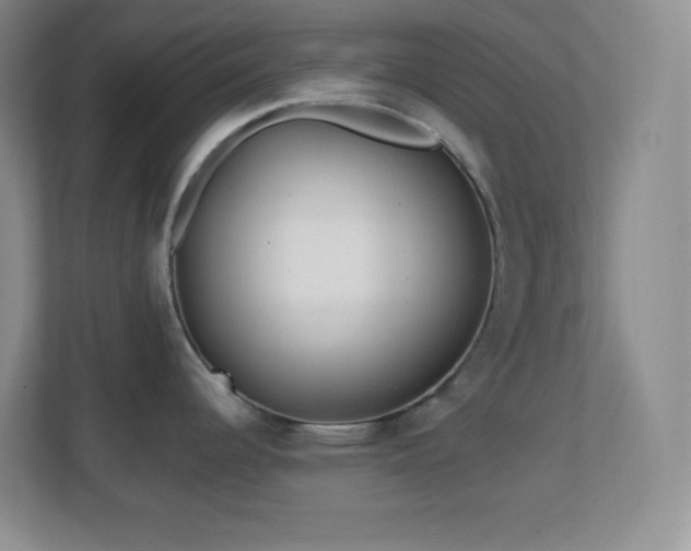 X0000113861344200909241300