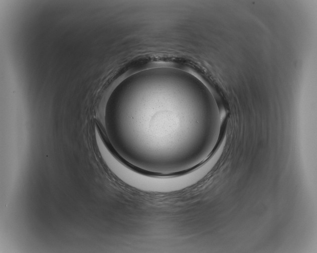 X0000113861345200909241259